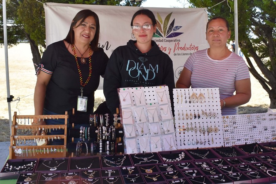 ITESA Impulsa Economía Social Con Participación en Red Estatal NODESS