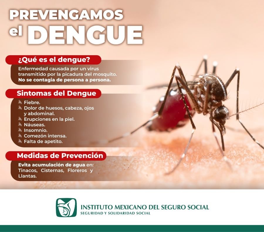 Llama IMSS Hidalgo Adoptar Medidas Para Evitar Casos de Dengue