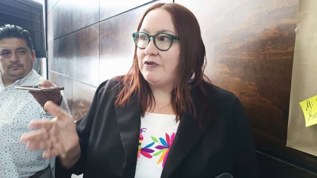 Tania Meza Asegura que Diputados de Morena Votaron en Contra Los Principios y Estatutos del Partido