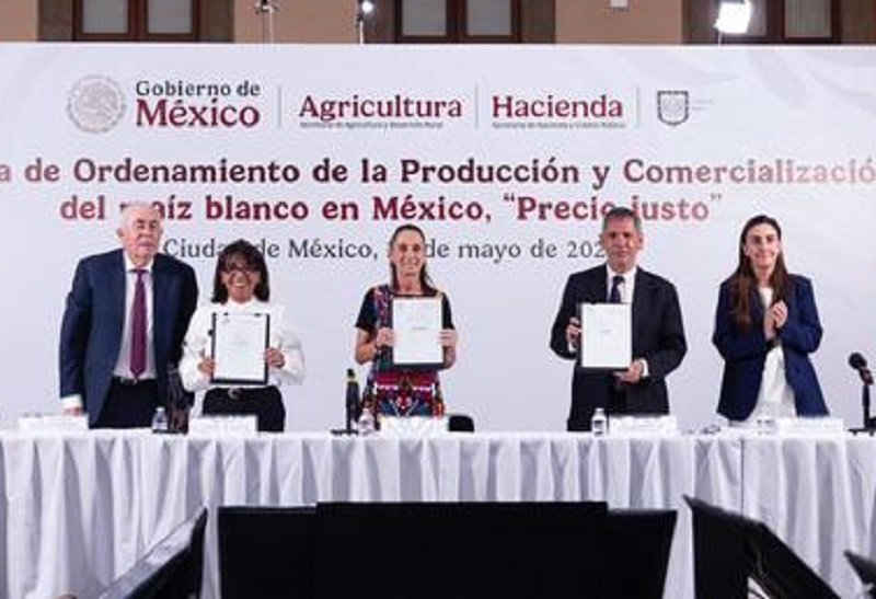 Sheinbaum Firma Acuerdo Para La Creación del Sistema de Ordenamiento de la Producción y Comercialización del Maíz Blanco