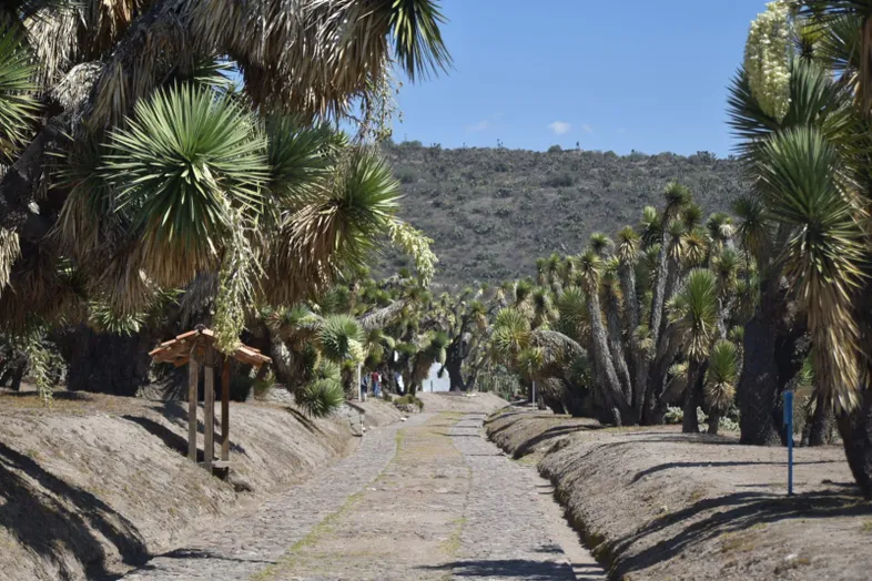 Anuncian Caminata Ciudadana Para Documentar El Estado del Cerro de Cubitos