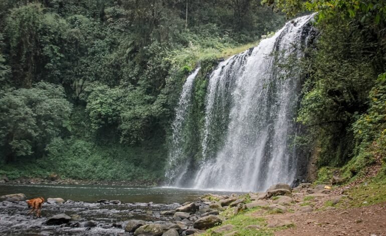 Hidalgo, Destino Atractivo Para el Turismo Nacional e Internacional