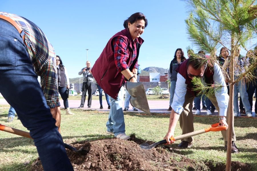 UPLAPH y Semarnath invitan a la ciudadanía a donar semillas de especies nativas para reforestar Hidalgo