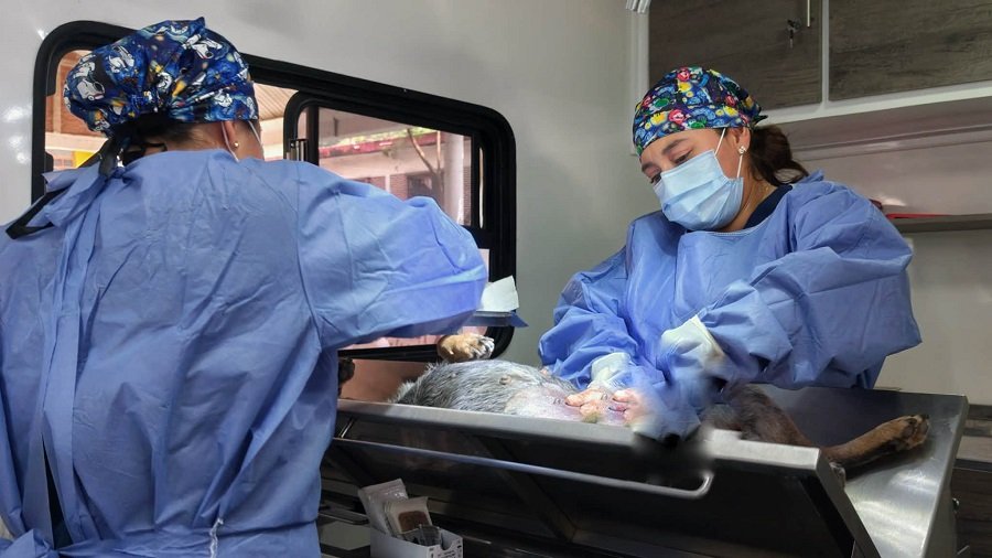 Brigadas de la Salud acercarán atención médica gratuita a Alfajayucan