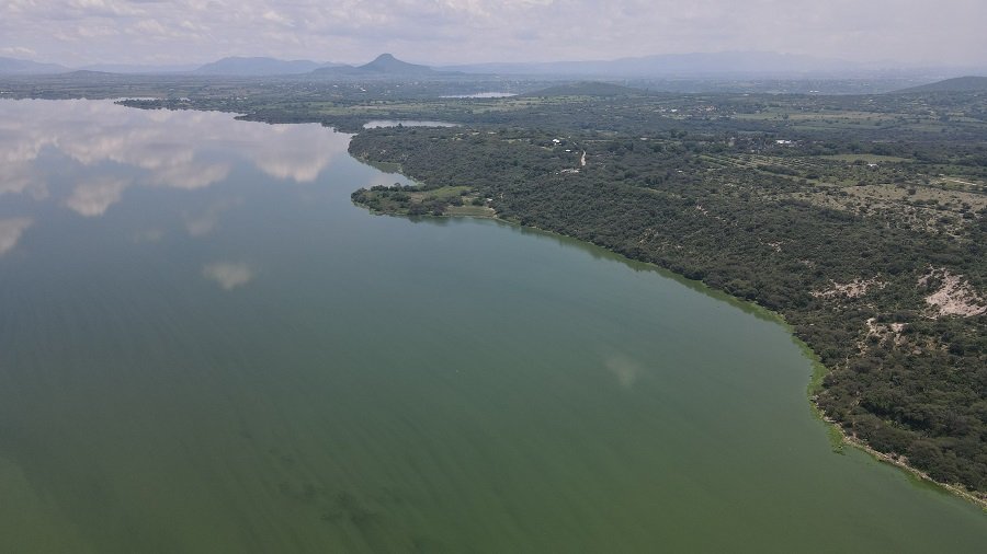 Semarnat Ampliará Área Natural Protegida en Tula Para Incluir La Laguna de Bojay