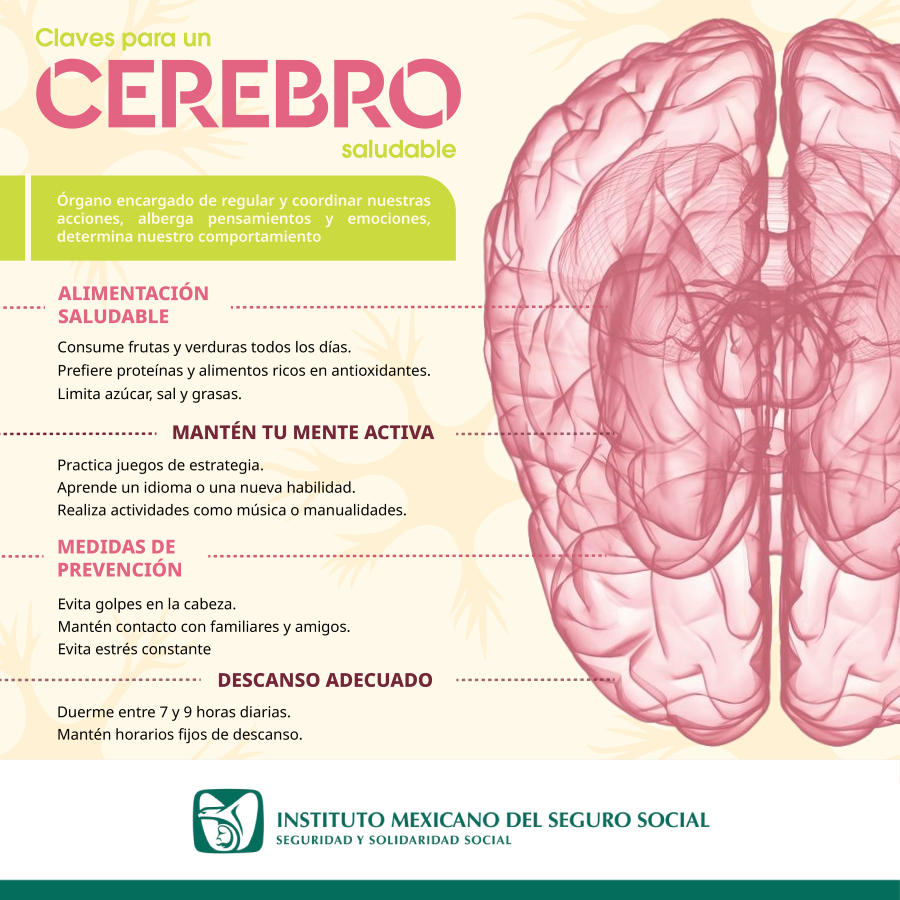 Invita IMSS Hidalgo a Cuidar Salud Cerebral