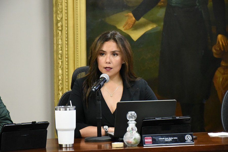 Iniciativa de Reforma La Ley Para La Familia del Estado de Hidalgo Para el Registro de Personas Deudoras Alimentarias
