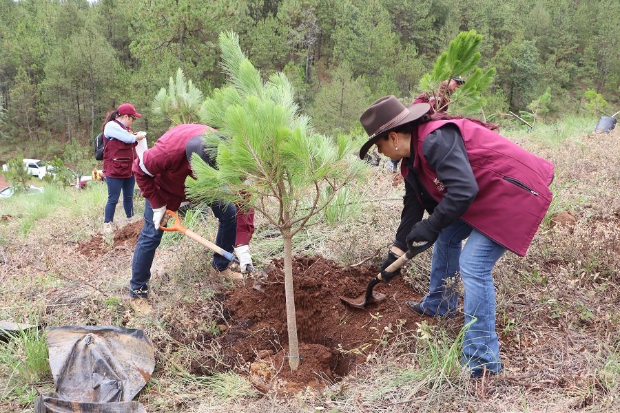 Semarnath y Ayuntamiento de Pachuca invitan a participar en la creación del primer refugio climático urbano de Hidalgo