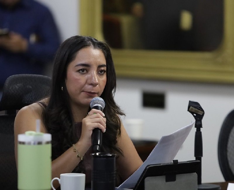 Diputada propone talleres reeducativos y servicio social para prevenir la reincidencia de violencia