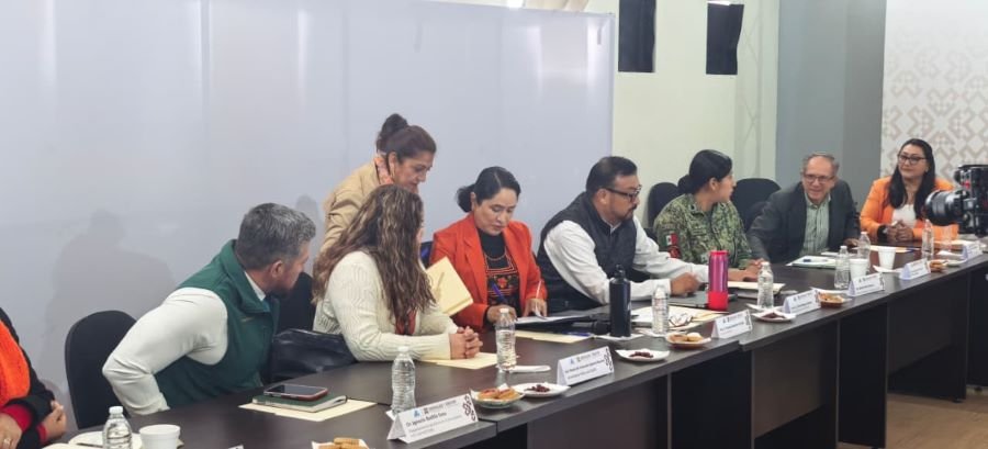 Instalan Comité Estatal de Partería