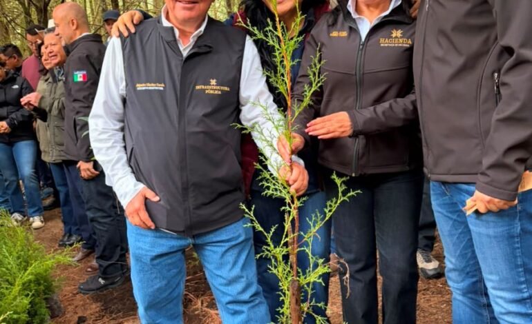 Servidores del Pueblo de Sebiso Aportaron a la Jornada Nacional de Reforestación