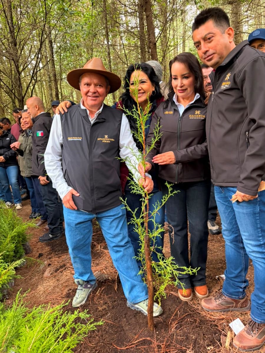 Servidores del Pueblo de Sebiso Aportaron a la Jornada Nacional de Reforestación