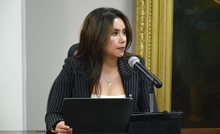 Diputada Propone Reforma Judicial en Hidalgo Con Menos Candidaturas en Las Boletas