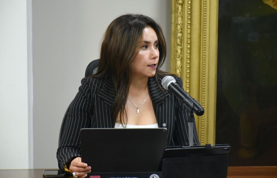 Diputada Propone Reforma Judicial en Hidalgo Con Menos Candidaturas en Las Boletas
