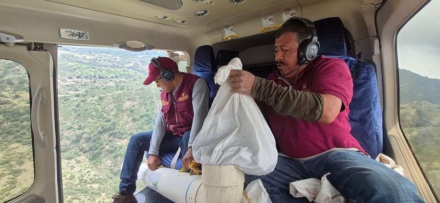 Esferas de Vida llega a 3 mil 215 hectáreas con 4 millones de semillas