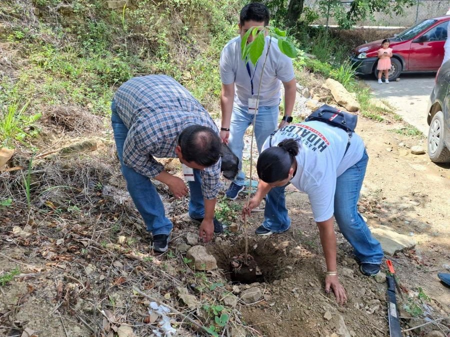 ISSSTE Hidalgos se Suma a la Jornada Nacional de Reforestación Durante la 7ª Edición del Tequio “Elena Arizmendi”