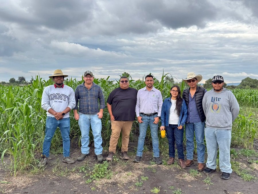 ITESHU y CIMMYT desarrollan alternativas para mejorar la producción agrícol