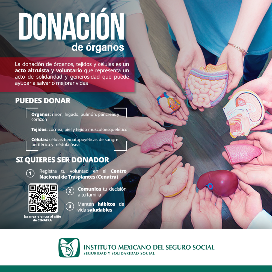 Invita IMSS Hidalgo a Convertirse en Donador Voluntario de Órganos y Tejidos