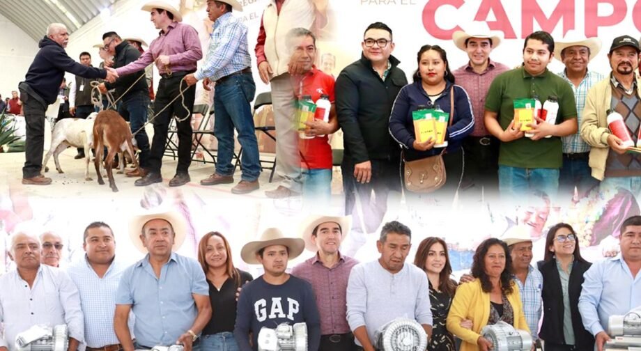 Mujeres Rurales de Hidalgo Reciben más de 16 Millones de Pesos en Huertos, Aves y Equipamiento Para Impulsar Su Economía