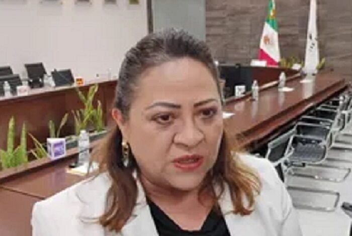 IEEH Entre 2020 – 2024 Realizo Contratos Con Empresas Señaladas Por Presuntos Vínculos Con Guadalupe Taddei Zavala