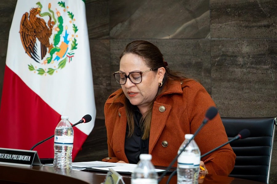 IEEH presenta Informe sobre los Foros Regionales de Diálogo en materia indígena para la implementación de la Acción Afirmativa en el PEL 2026-2027